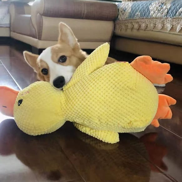 Duck Dog Toy