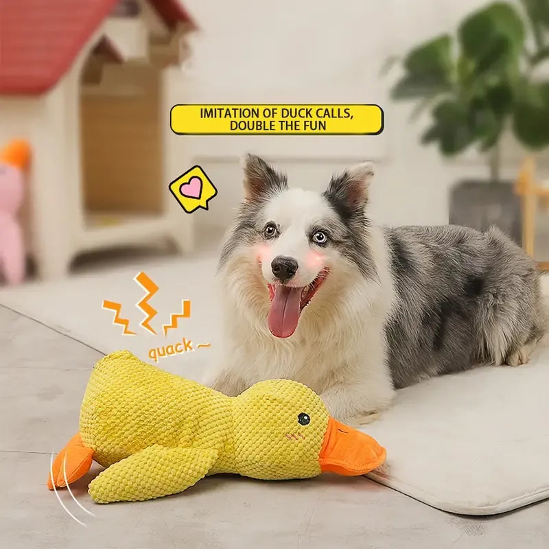 Duck Dog Toy