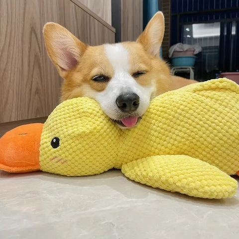 Duck Dog Toy