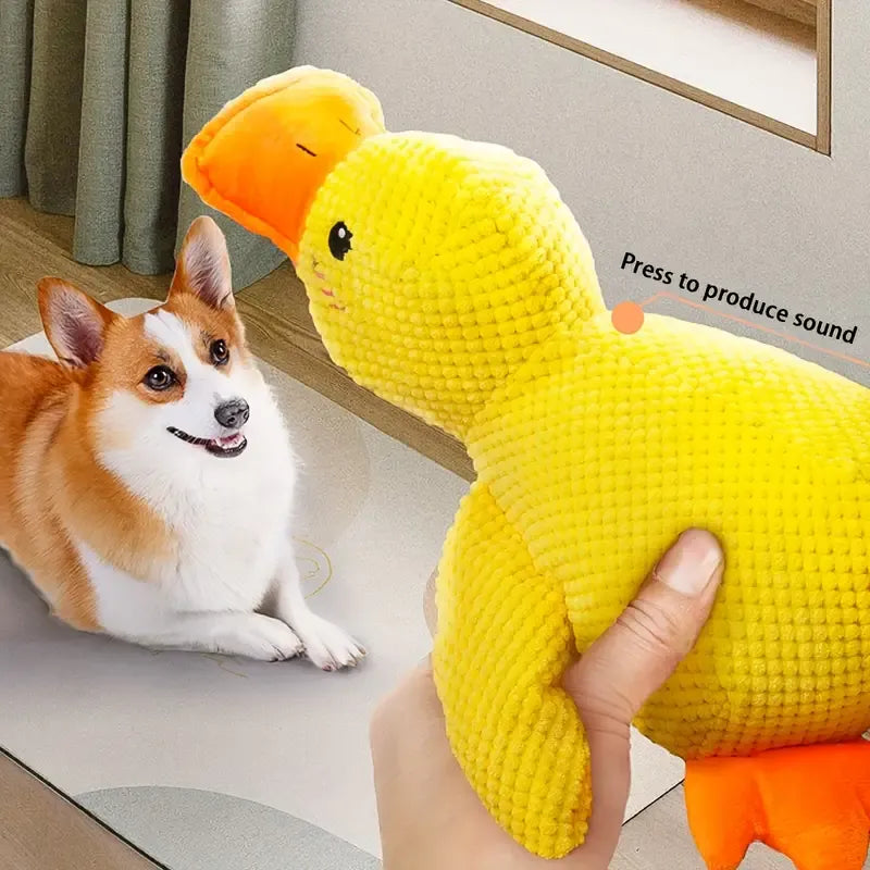 Duck Dog Toy