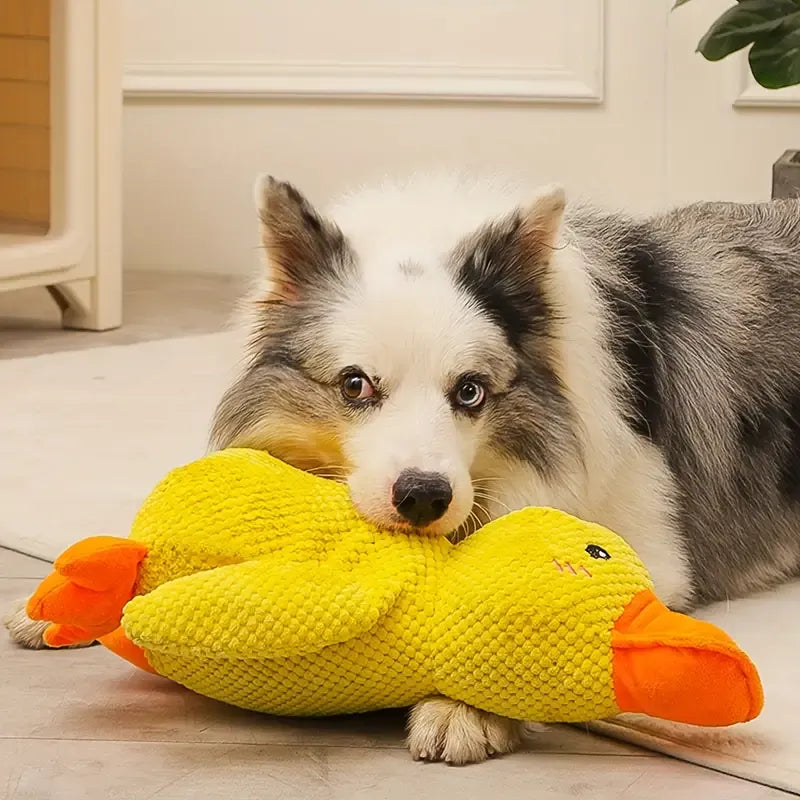 Duck Dog Toy