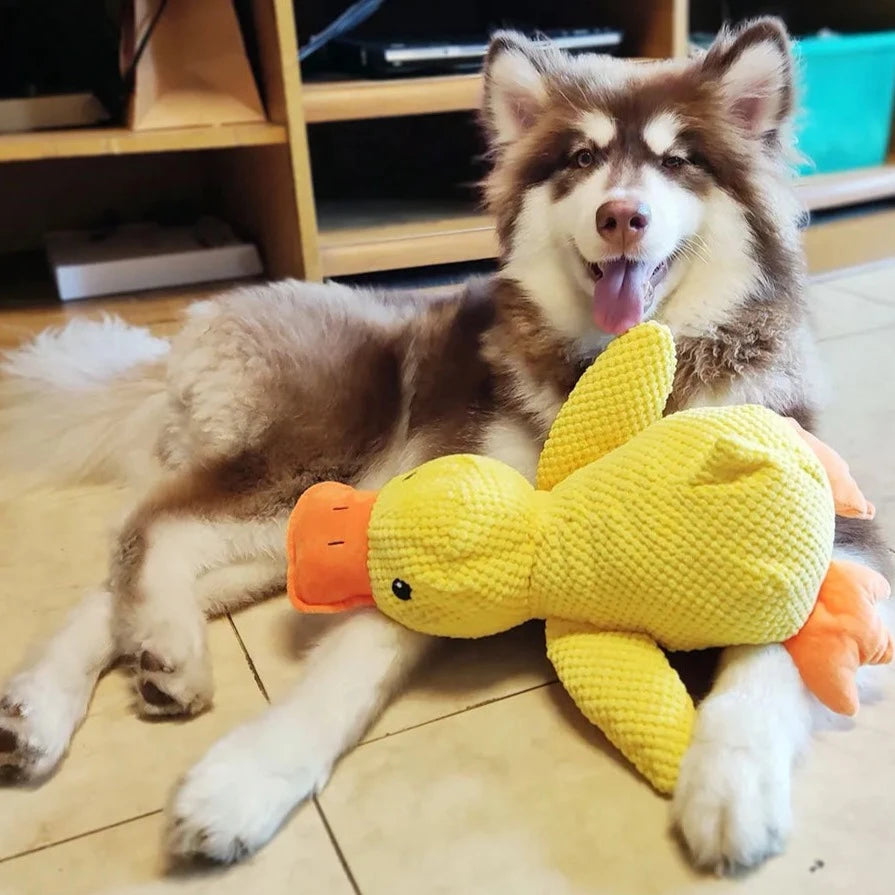 Duck Dog Toy