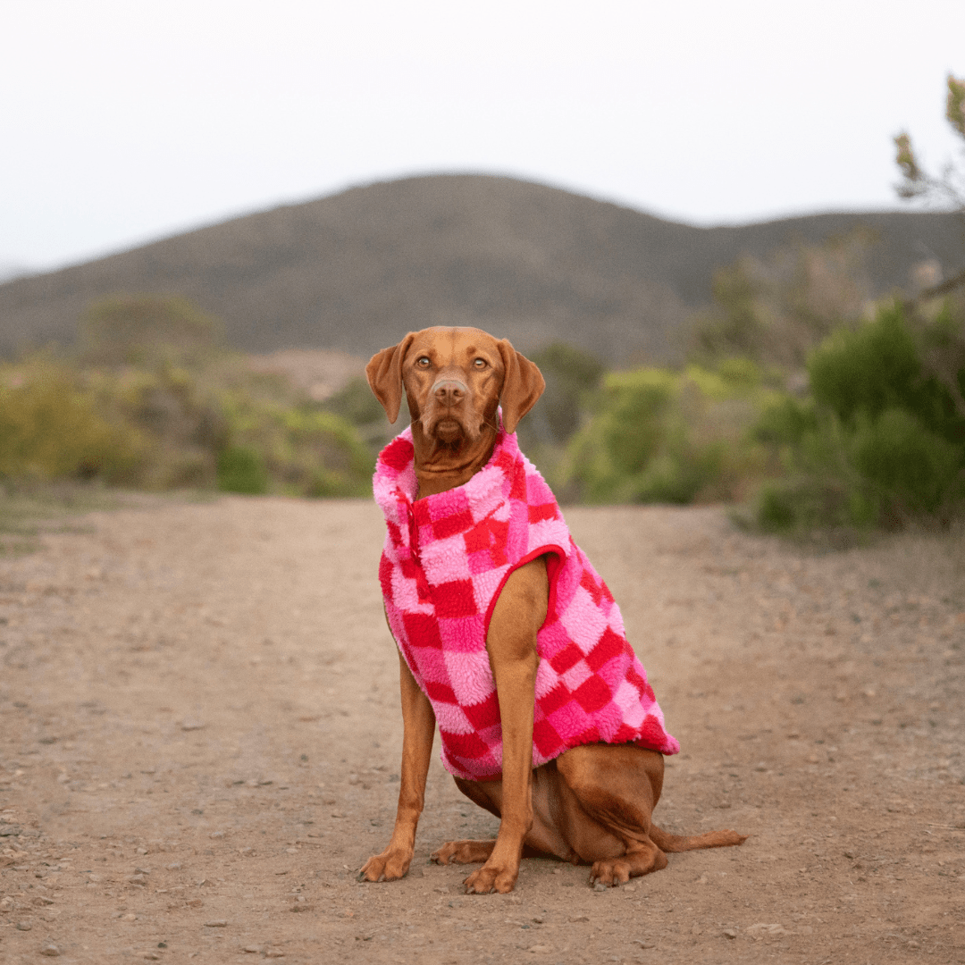 Ski Pink Sherpa Vest