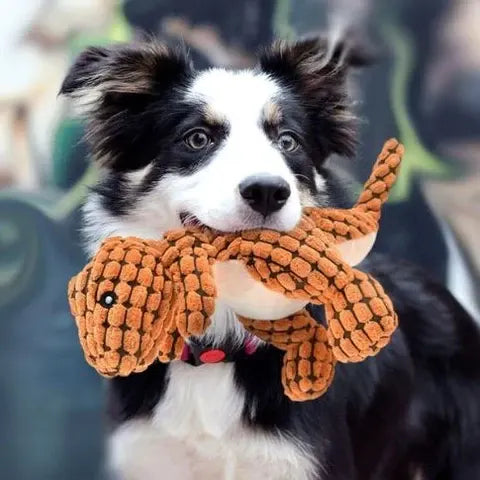 Indestructible Plush Dog Toy for Heavy Chewers